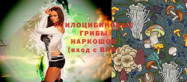 альфа пвп Краснослободск