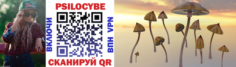 МЕГА как войти  Лабинск  Псилоцибиновые грибы Cubensis 