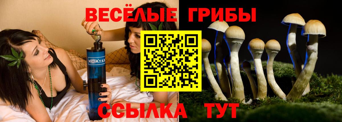 Псилоцибиновые грибы Psilocybe  Вход с VPN  Псилоцибиновые грибы прущие грибы  Лабинск 